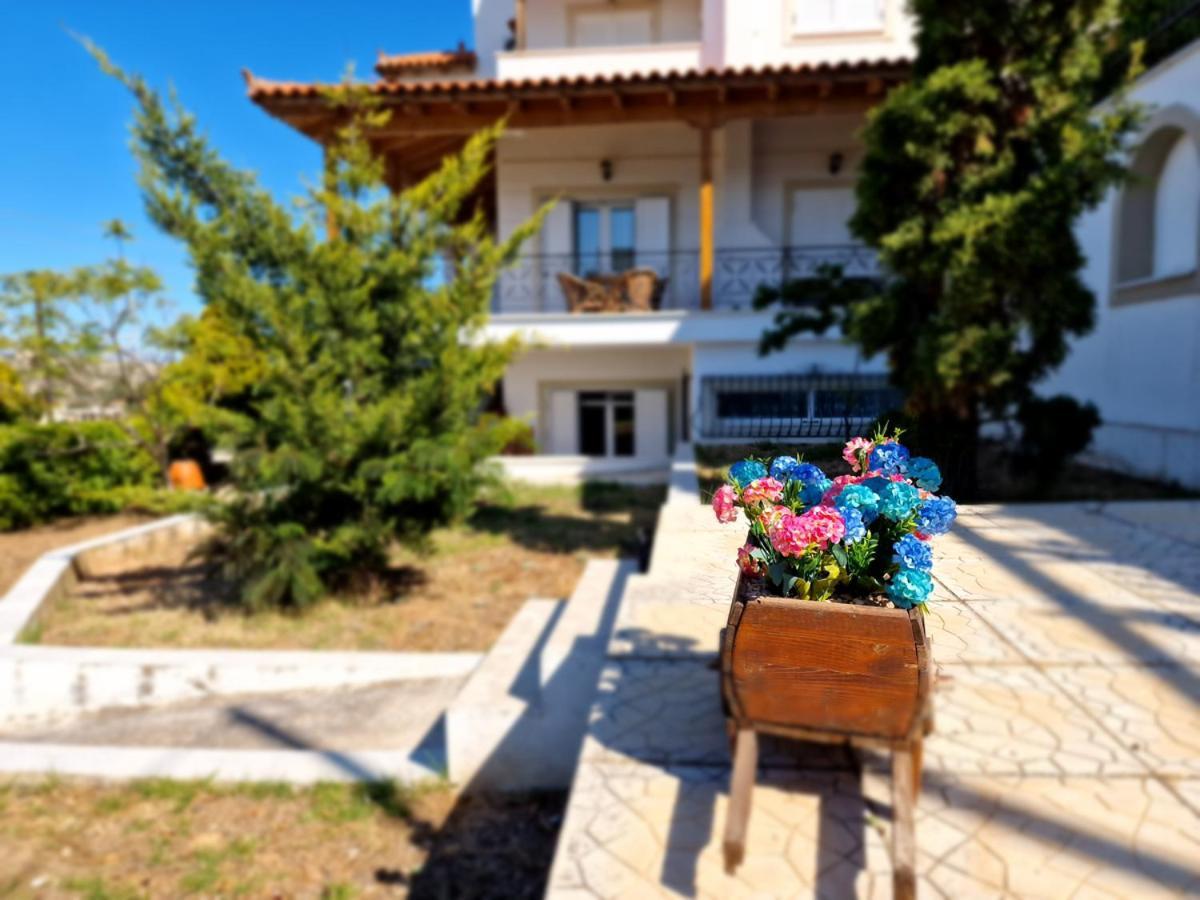 Villa Liana : Luxury Villa With Fantastic Sea View, Near Airport Pórto Ráfti Esterno foto
