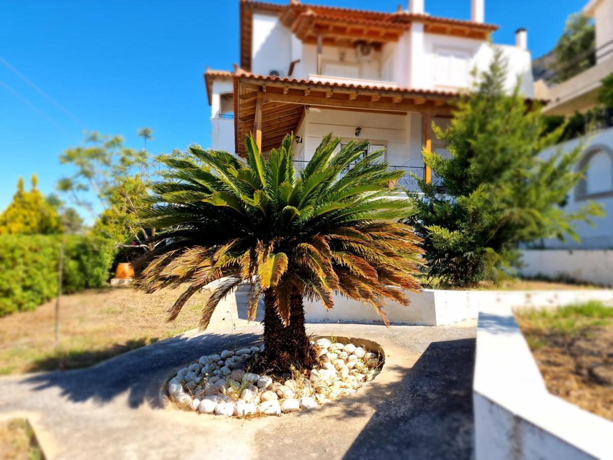 Villa Liana : Luxury Villa With Fantastic Sea View, Near Airport Pórto Ráfti Esterno foto